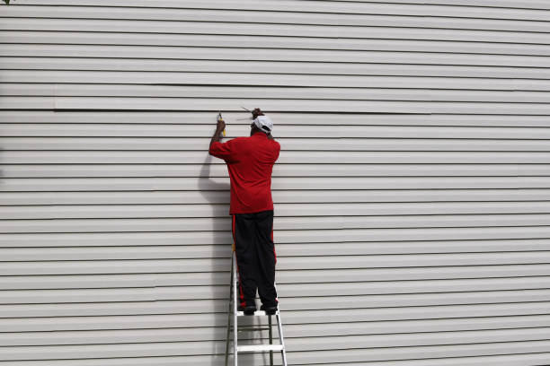 Best Steel Siding Installation  in Victoria, KS